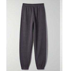 ARITZIA TNA COZY FLEECE MEGA SWEATPANT IN GD PERISCOPE | XS